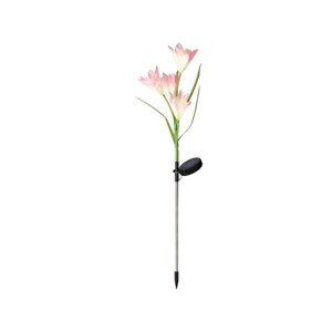 Virágos kerti lámpa, Lumineo, 10x65 cm, 4 LED, rózsaszín