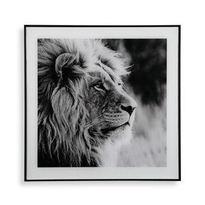 Lion Profile Üvegkép, Versa, 50x50 cm