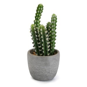 Cactus Művirág cseréptartóban, Ø14x33 cm