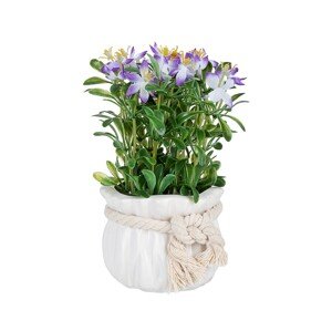 Adelaida Művirág, Bizzotto, Ø8.5x17 cm, lila